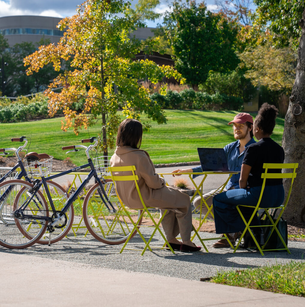 Our Equipment Leasing, Real Estate and Development Companies